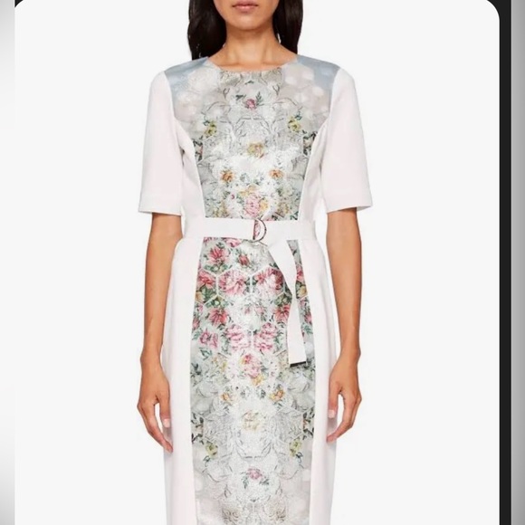 Gorgeous Ted Baker dress - Picture 2 of 8